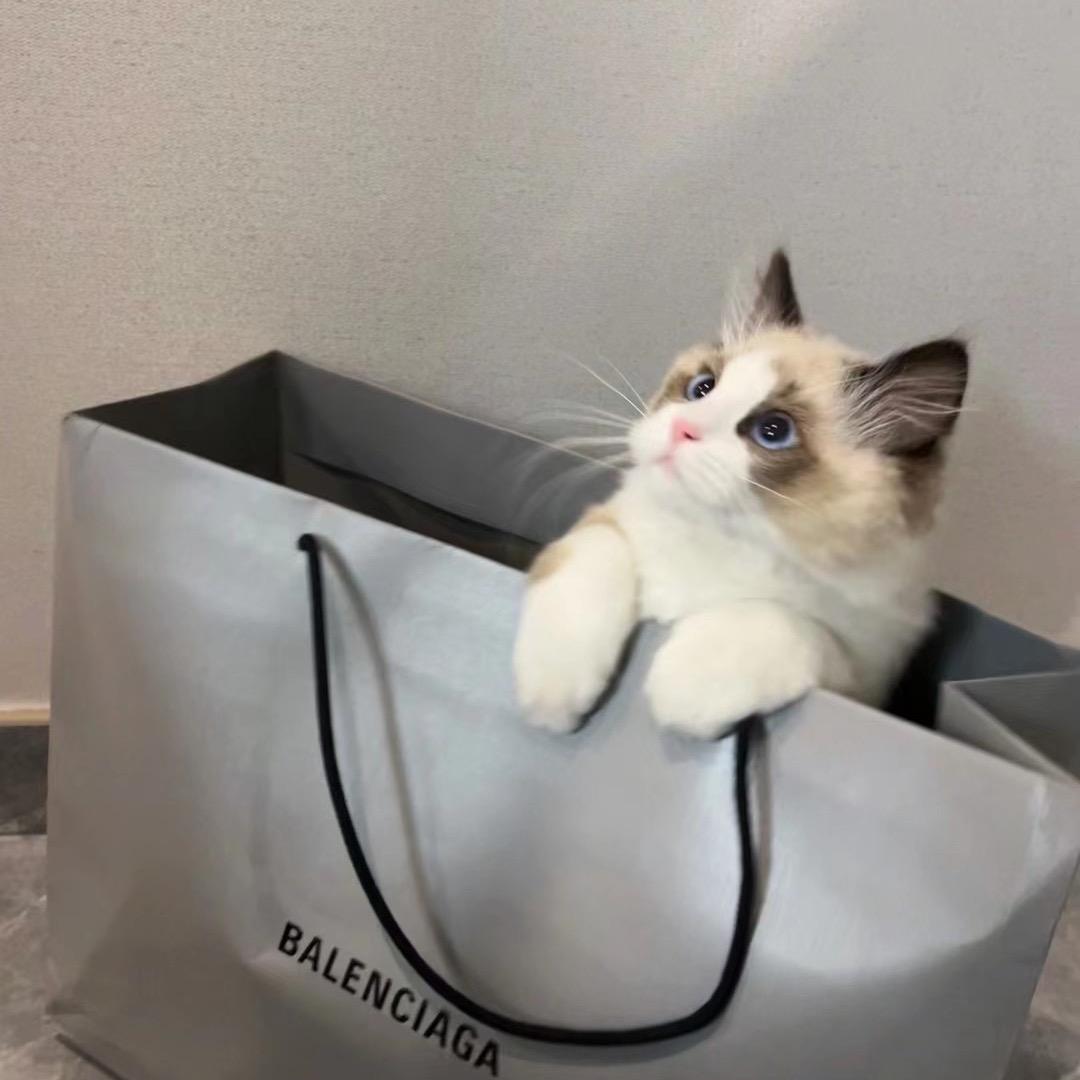 睡个好觉好难