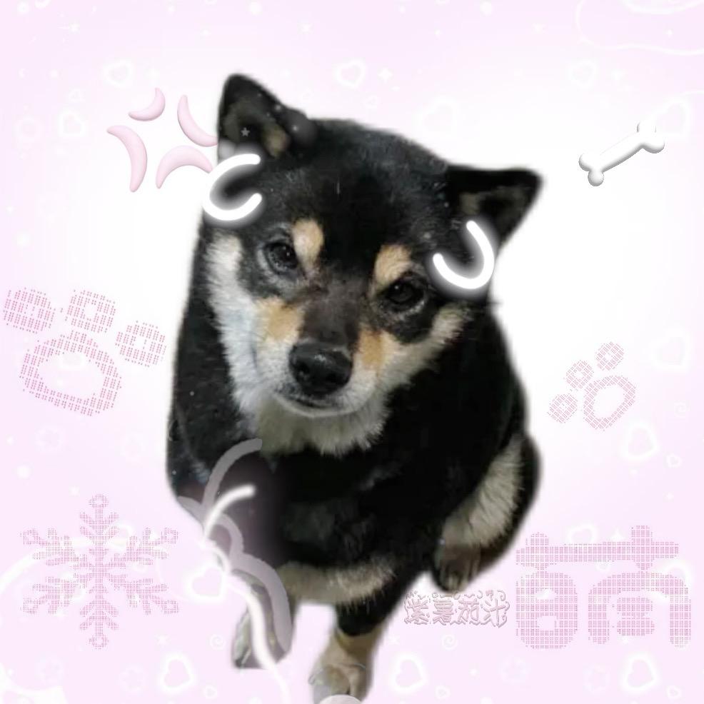 茄汁大王 𐂐