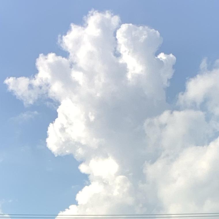 boy头像