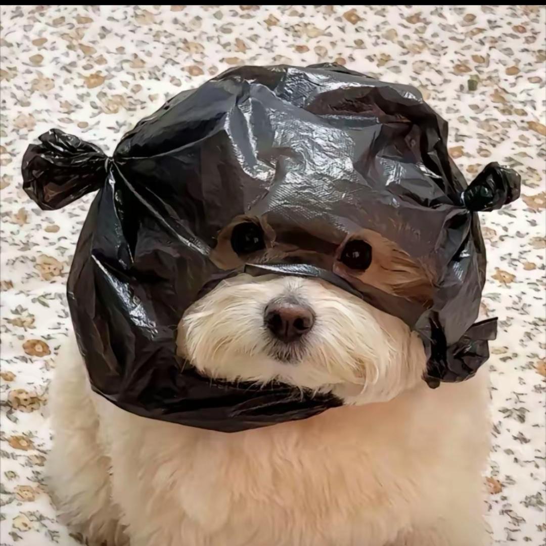 可以掐你脖子吗