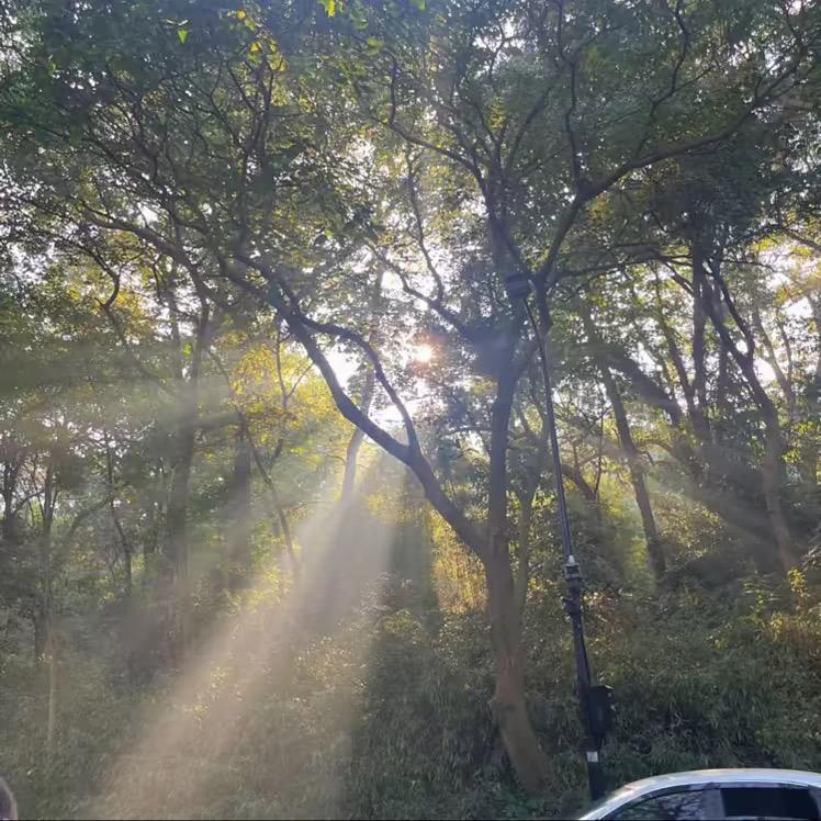 小芳糖
