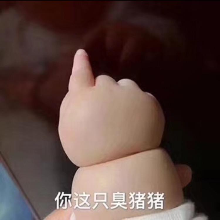 董小姐