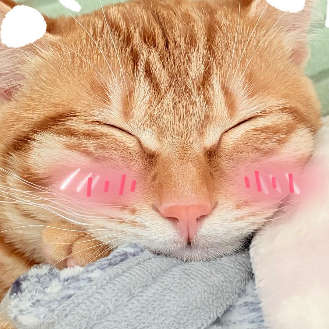 ˶‾᷄ ⁻̫ ‾᷅˵