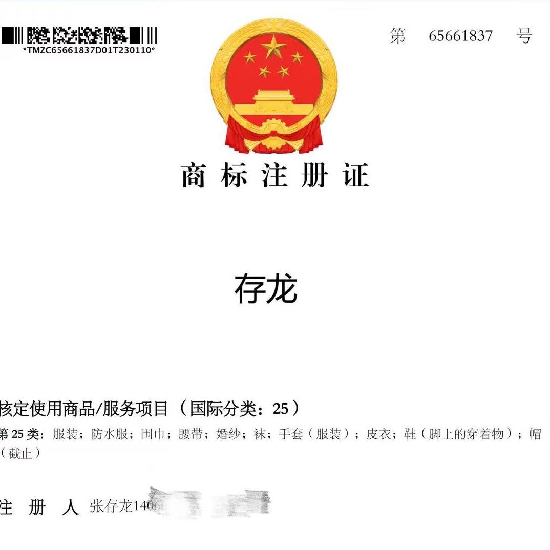 存龙