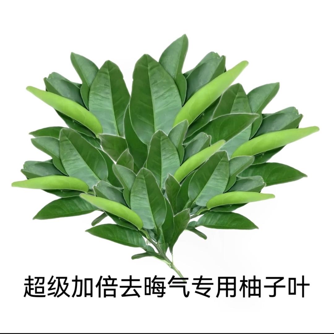 蒙东第一小piaji