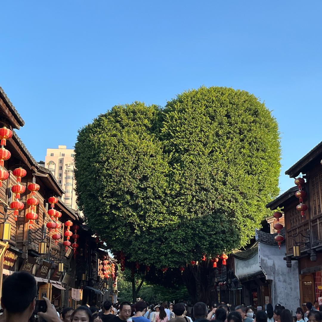 言言麻麻
