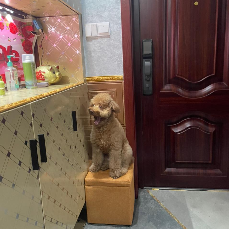 南通邵哥