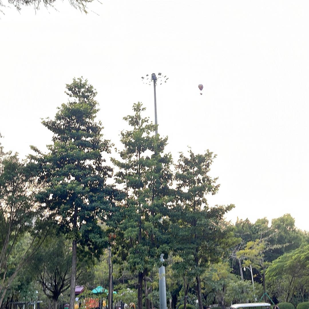 萌宝三剑客