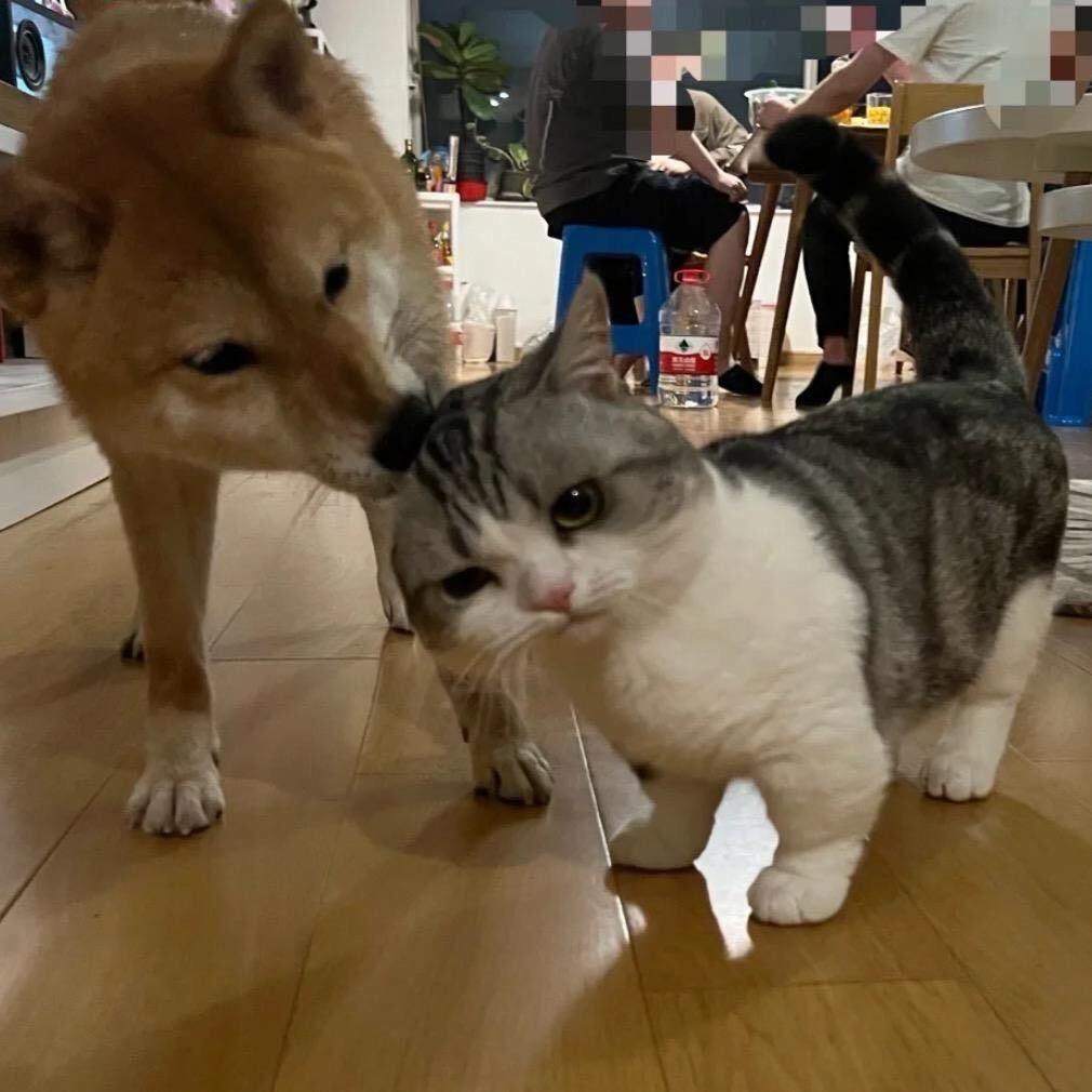 看不见我
