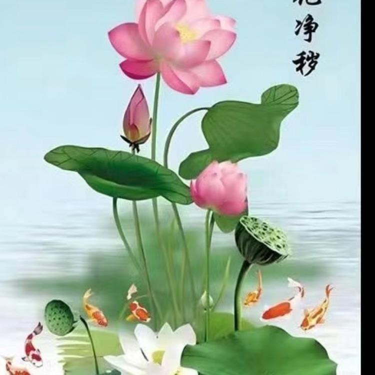 菩提果