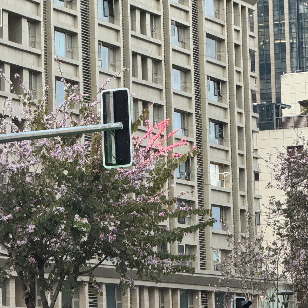 不知名的清