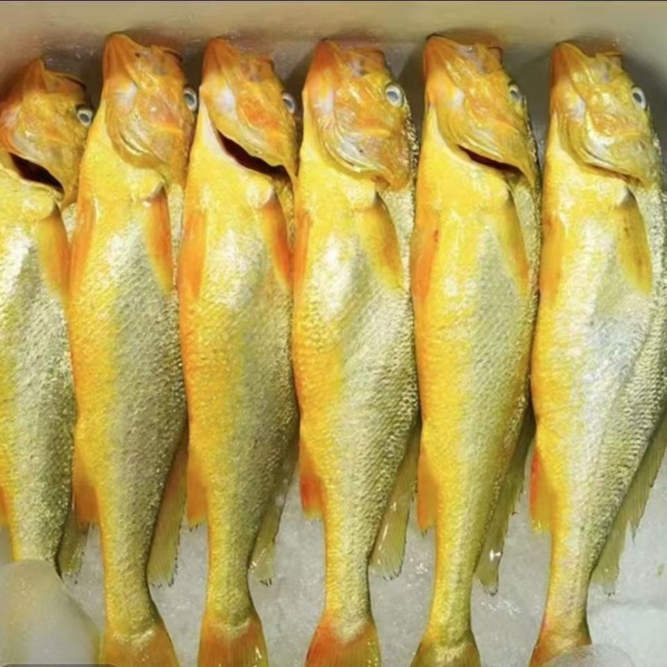 青岛胶州湾生鲜供应链