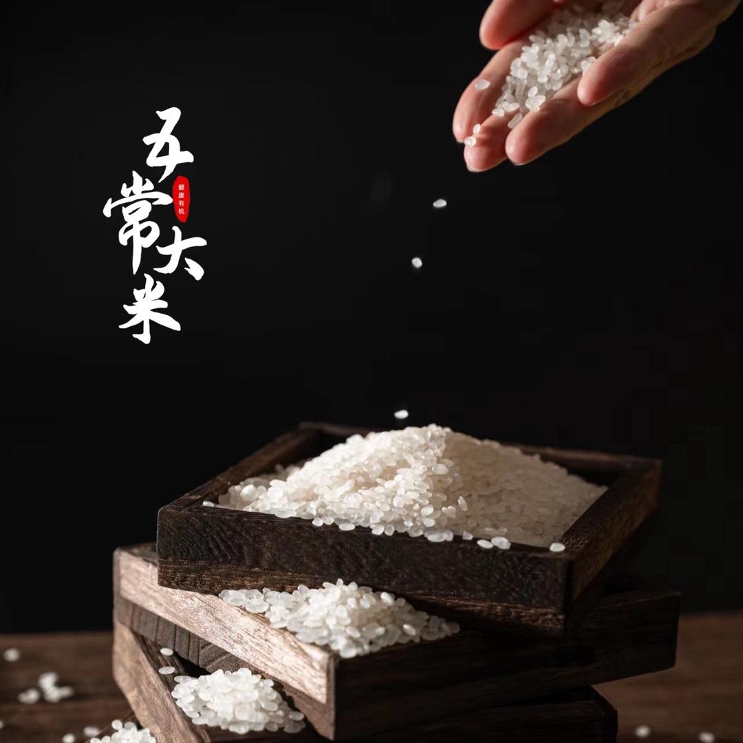 山茶花开在米缸里