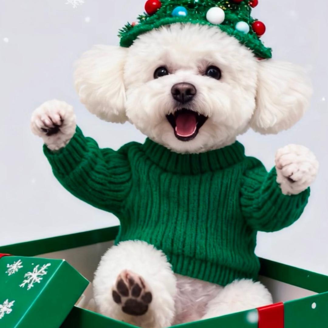 🤗𝙃𝙞 𝙘𝙤𝙘𝙤