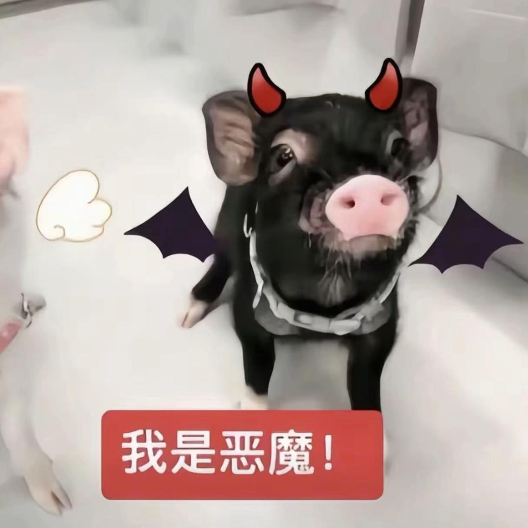 小林愿