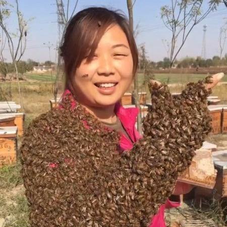 花约养蜂人