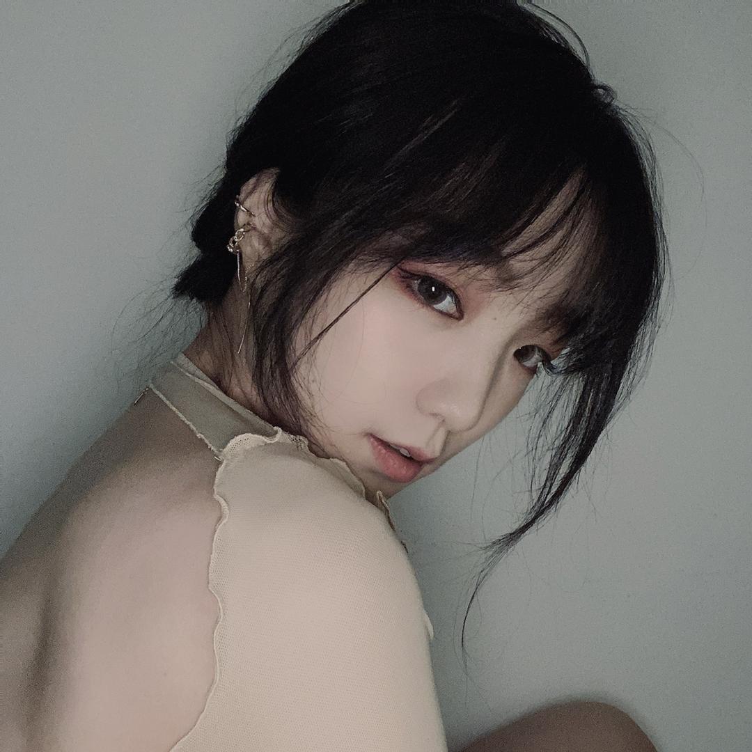懵懵白