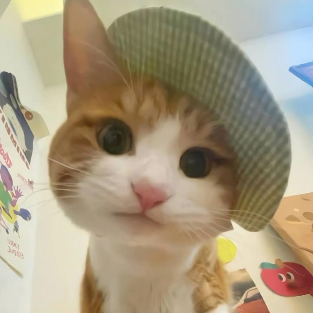 来一碗周.