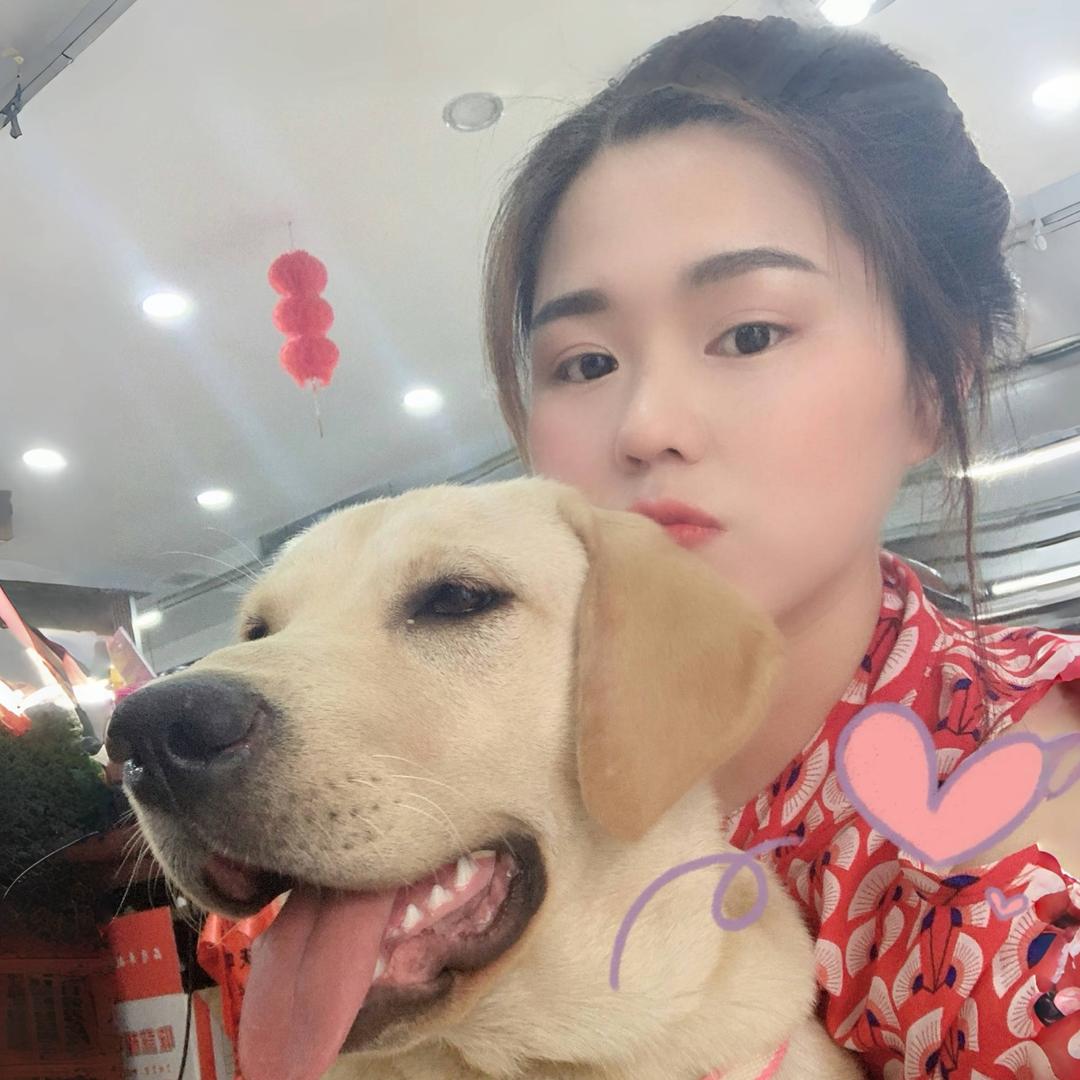 王可可