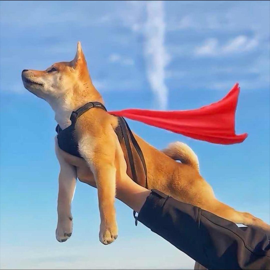 就叫我祥子吧🎣