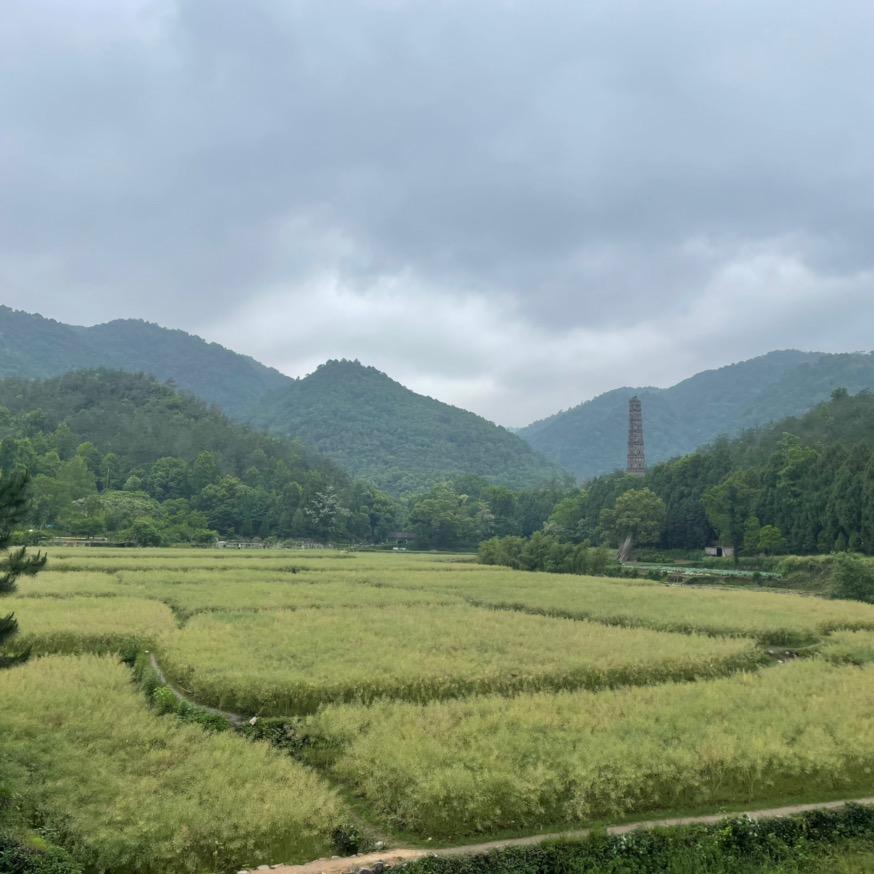 绿色星球