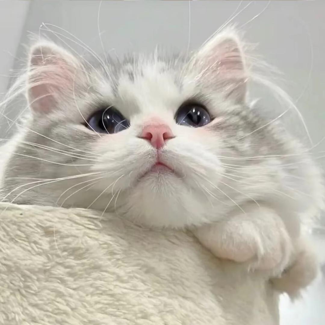 𝙁𝙚 𝙌𝙞𝙣