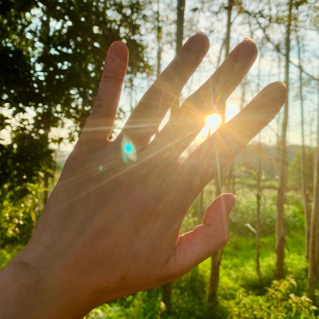 白话版的阿翡翡