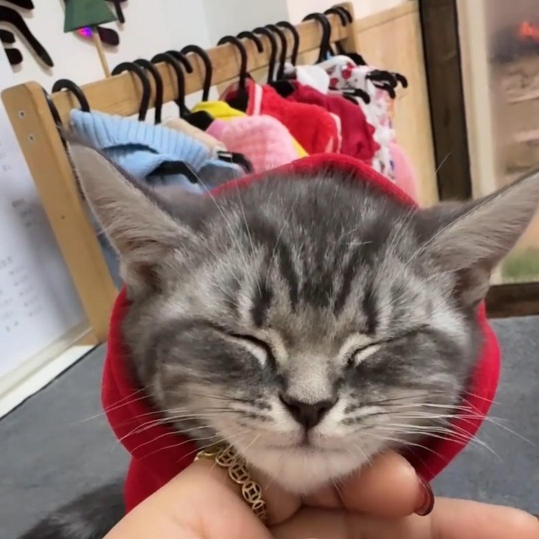 宠遇宠物生活馆🐶🐱