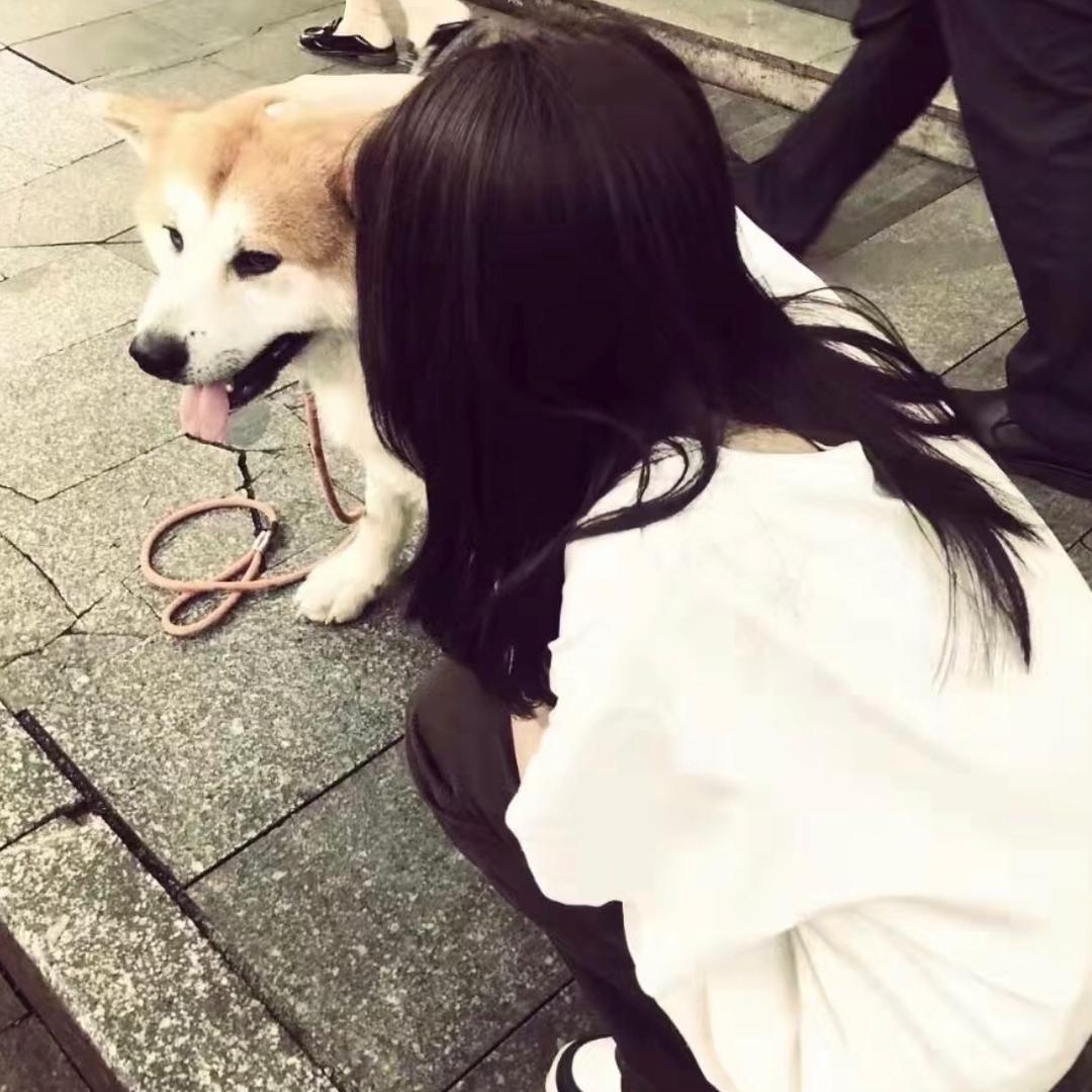 小糯米 🎆