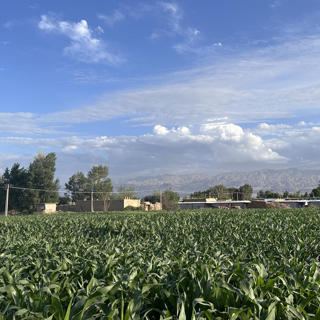 东诚创裕-田野生活