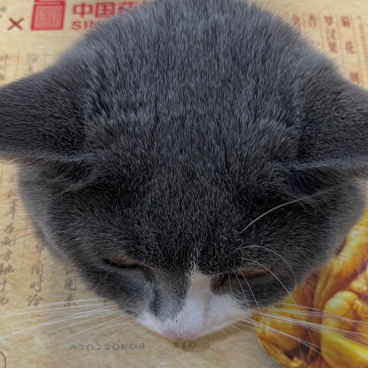 沟底看星星头像