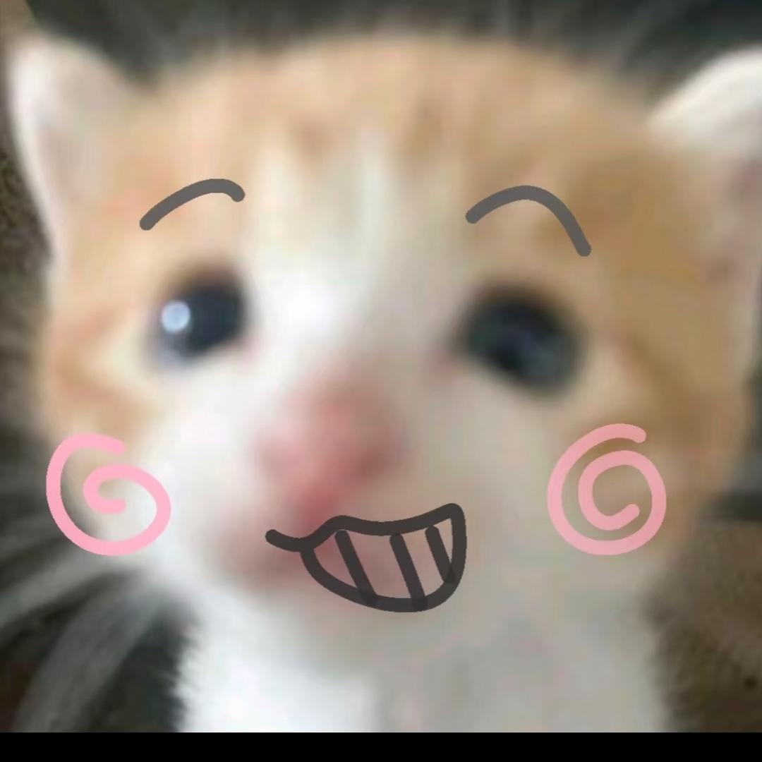 卷卷ᐝ