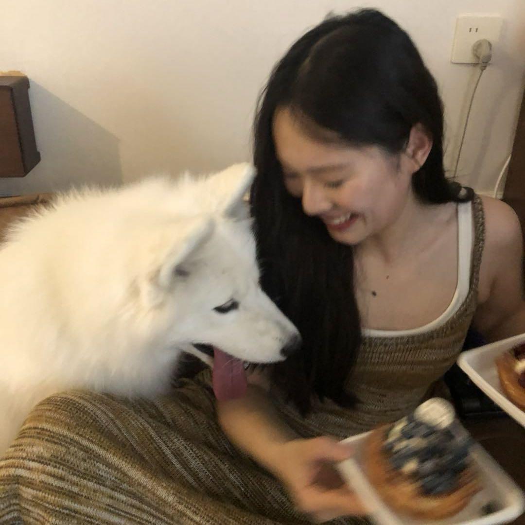 鱼鱼呼呼_🥪