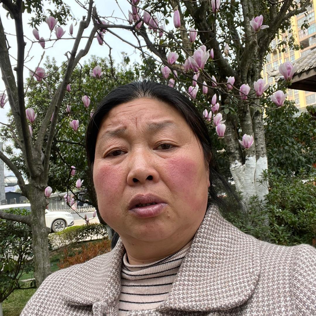 暮 暮