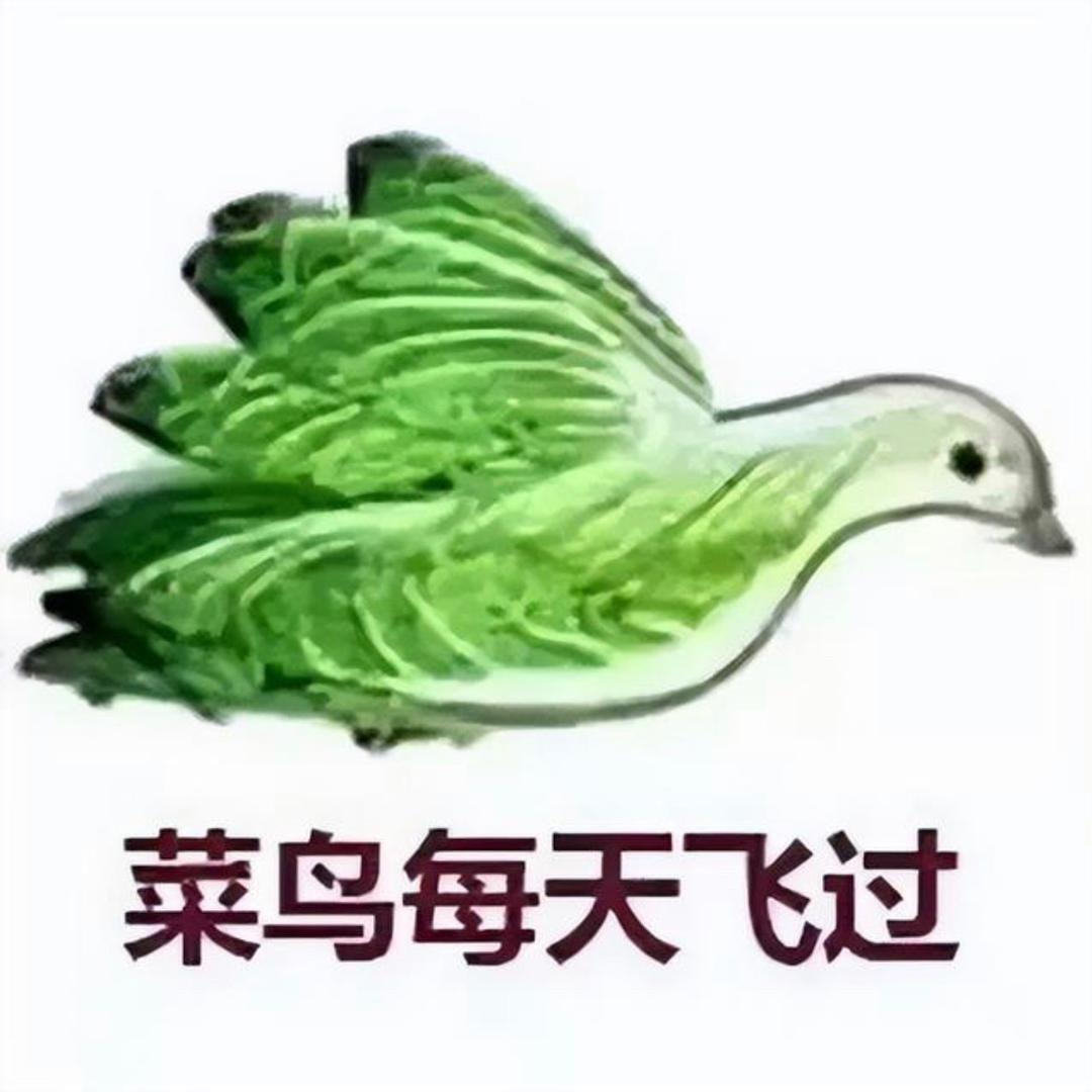 浪子杰