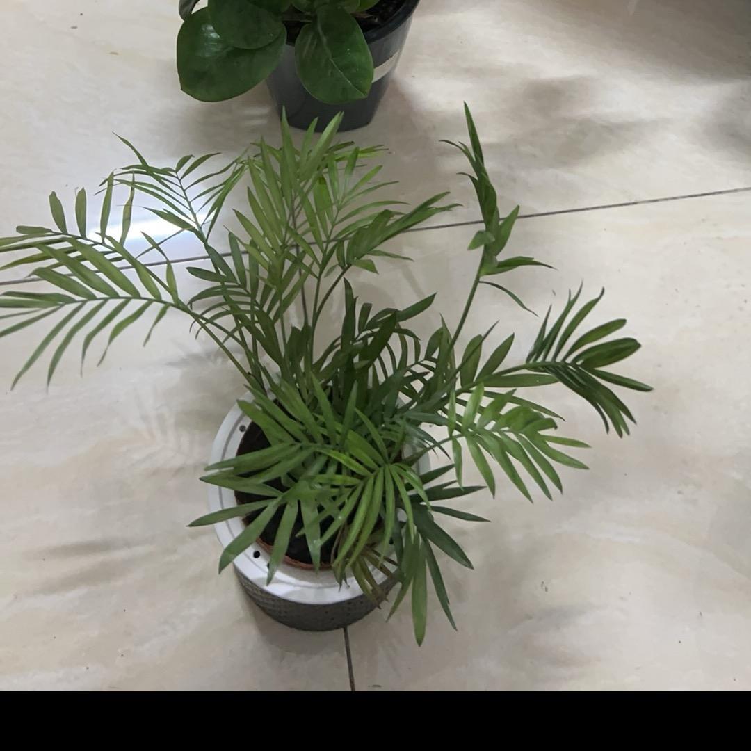 爱我所爱🇨🇳༣ྀ࿆