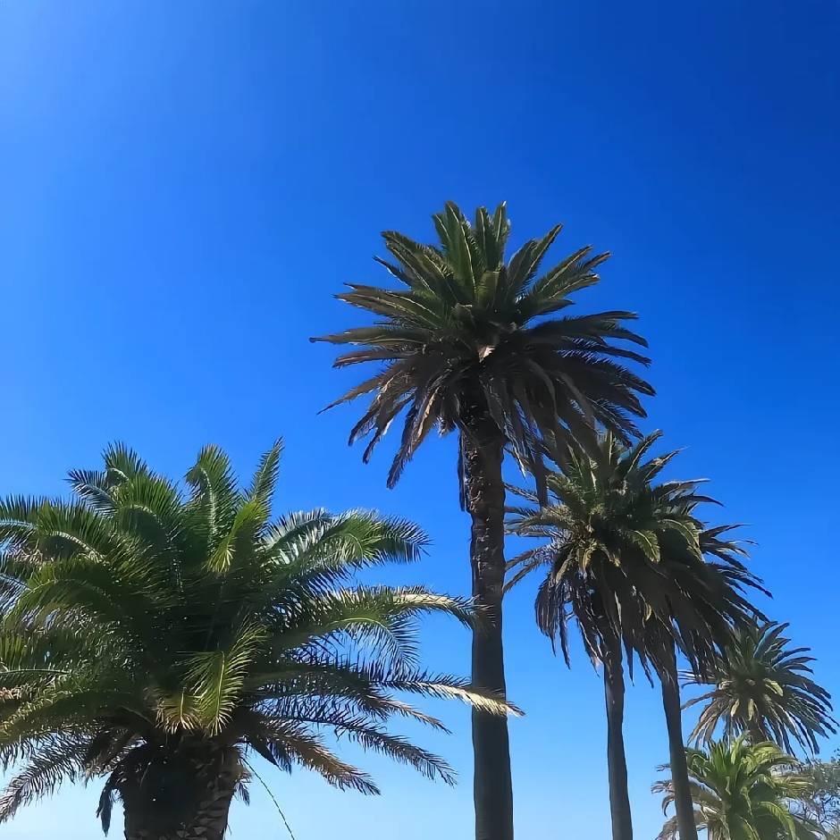 ￴ ￴￴ ￴ 纳睿￴ ￴￴