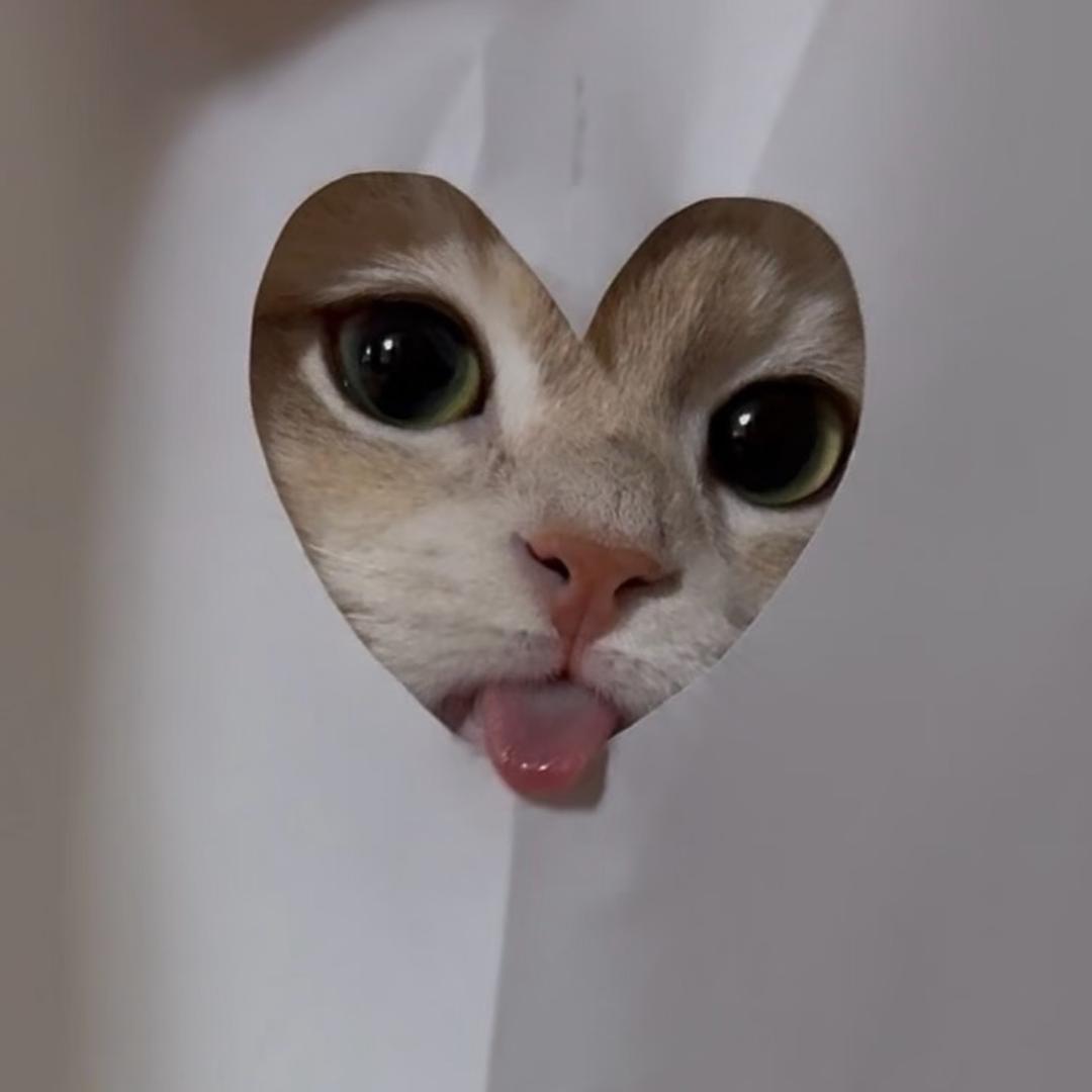 椰子🧊🥥