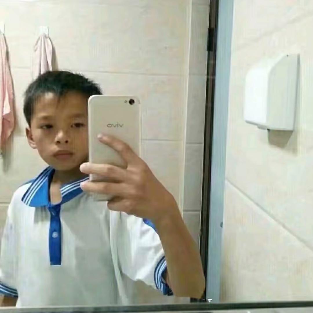 沙漠中孤独的狼