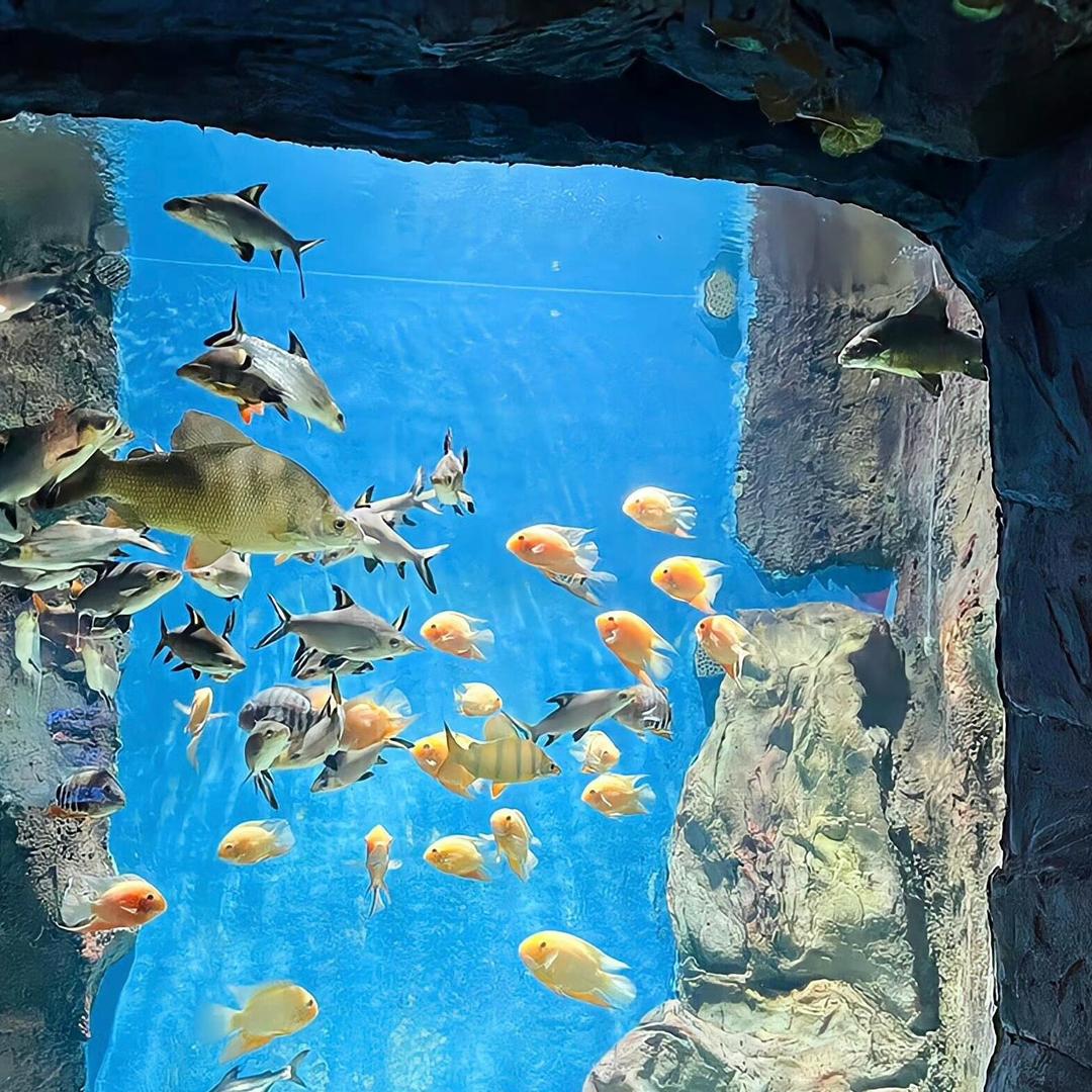 海冰水族馆
