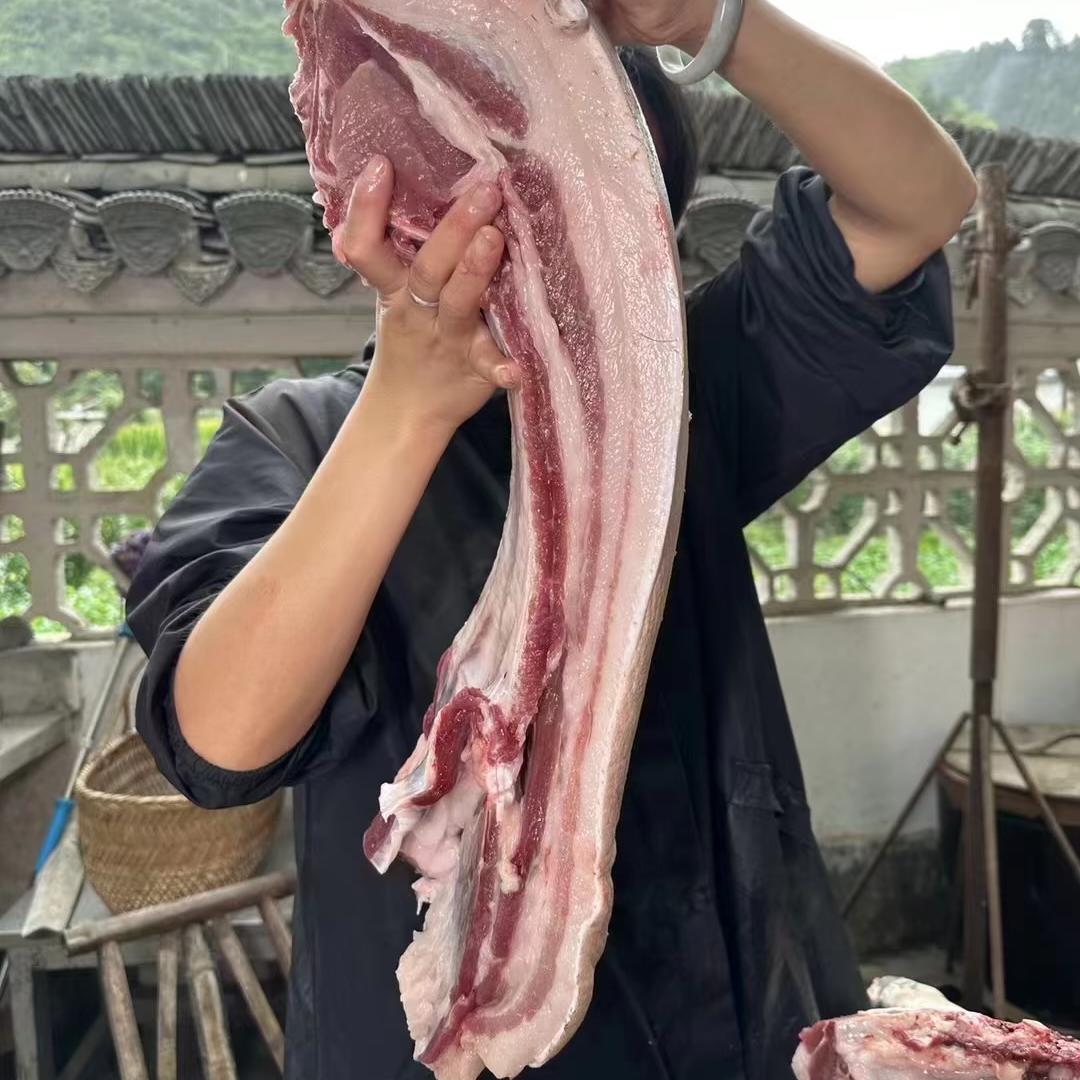皖南徽州黑猪