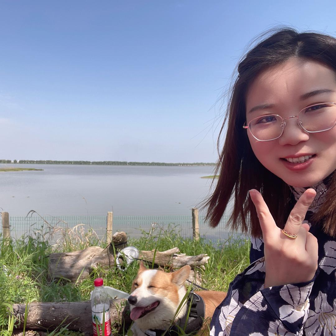 大慧和柯基图图