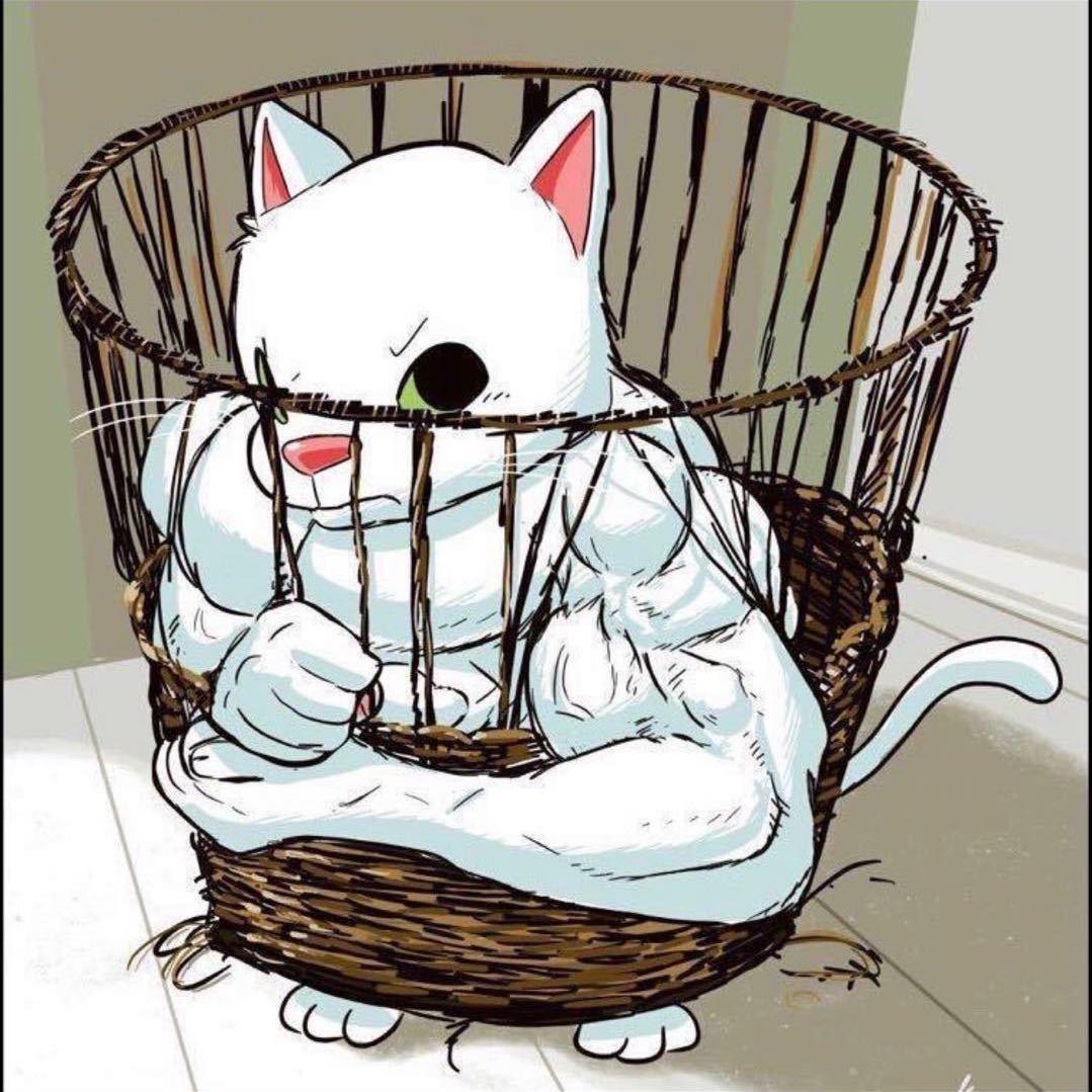 🌈🌈猫先生plus
