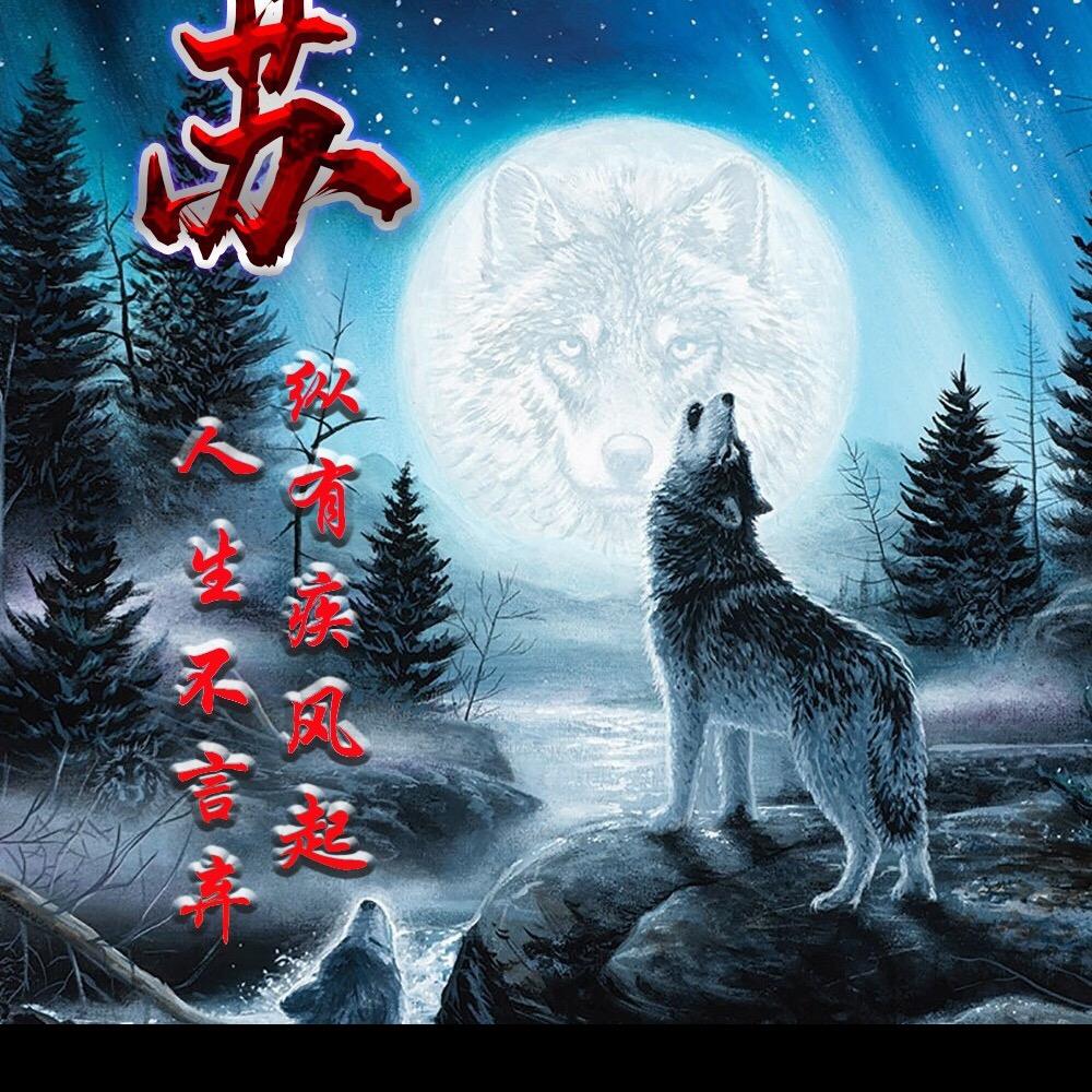 苍狼一笑🇨🇳
