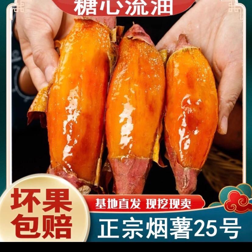 北山北蜜薯