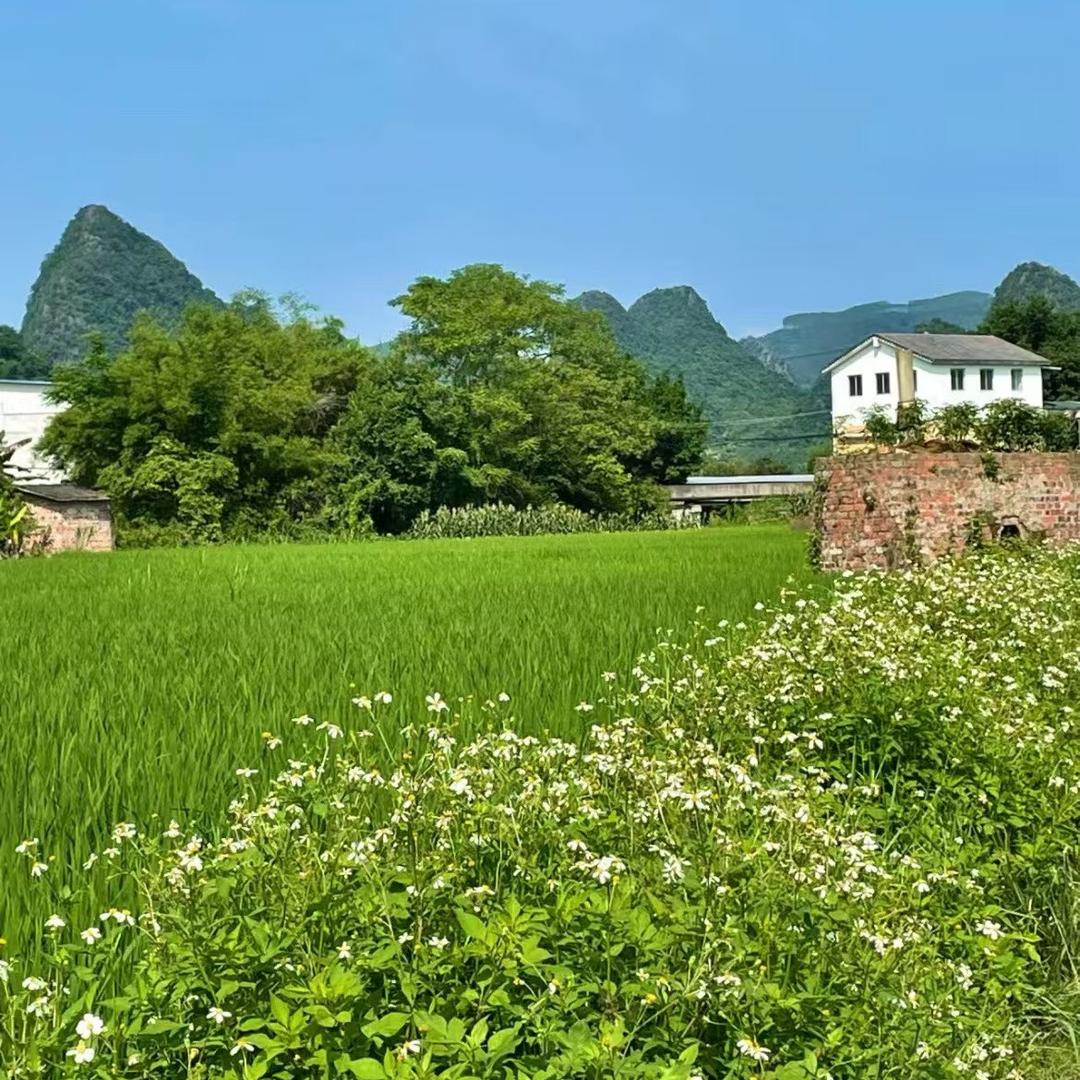 凤城的菇凉很潇洒