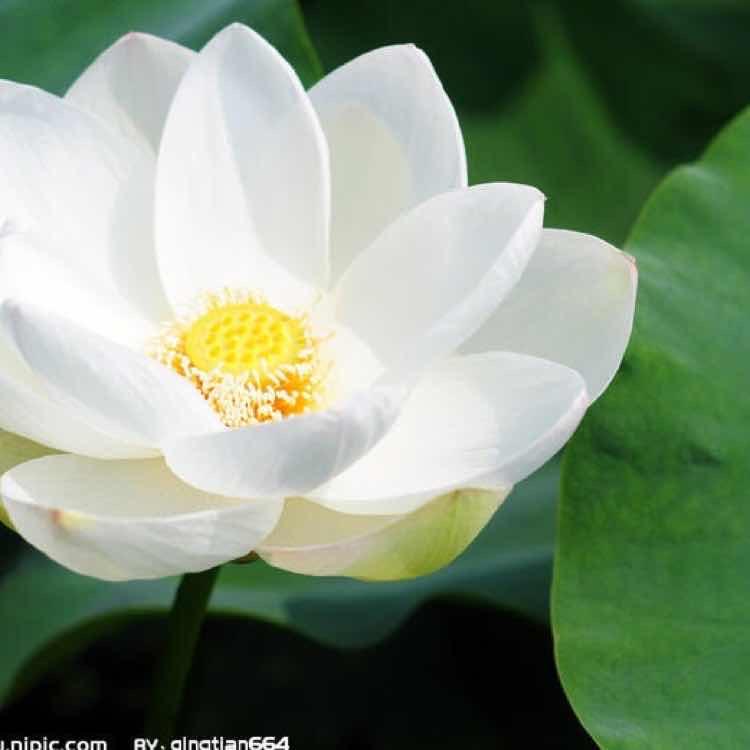 读你（花财鲜花店）