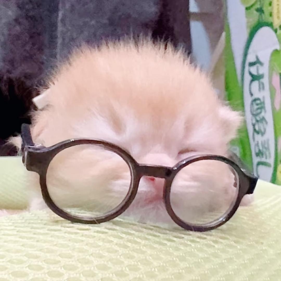 很懒的人
