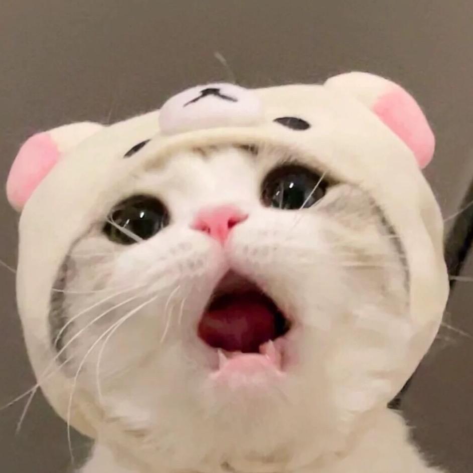 萝莉萌宠