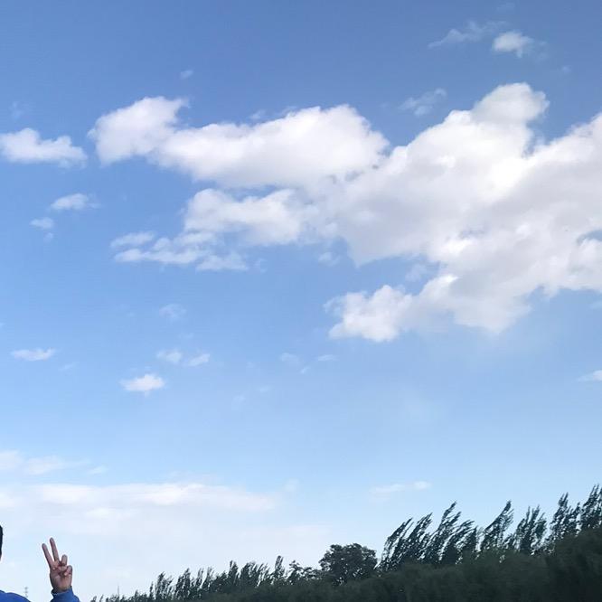 别挡我信号